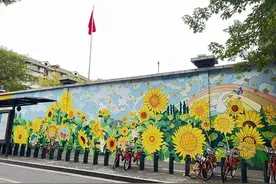 杭州湖滨街道：打造跨地域风貌样板区 描绘共富共美幸福图景图片