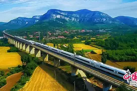 时评：银蛇行千里春潮润山河绘就壮美画卷图片