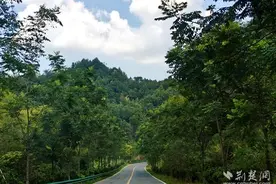 崇山隽水 通向幸福｜新能源公交经S259串联山区致富路图片