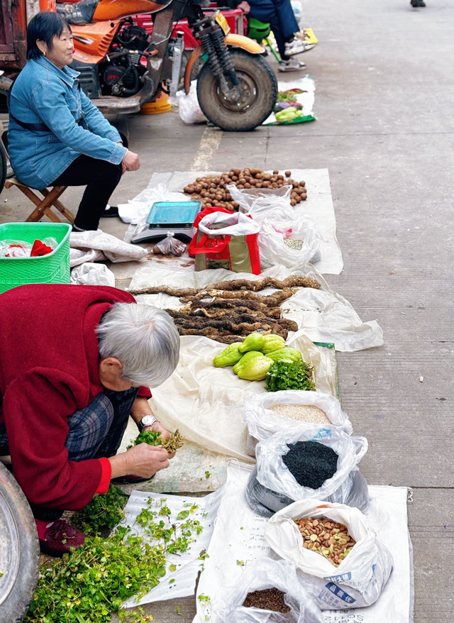 青睐绵阳 ‖ 马角秋日限定！解锁脆柿打卡新玩法，一日逛吃采摘攻略速领→