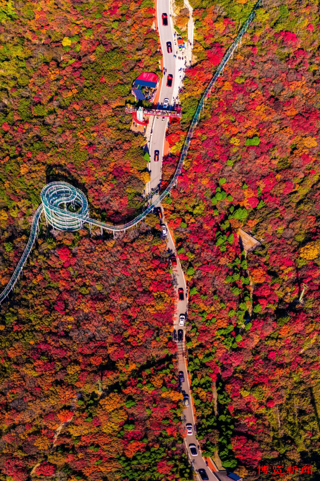 淄博4条主题旅游线路，藏着超多惊喜玩法，快来打卡！