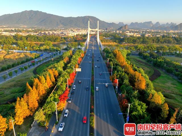 层林尽染，“枫”景如画！桂林开启浪漫赏叶季