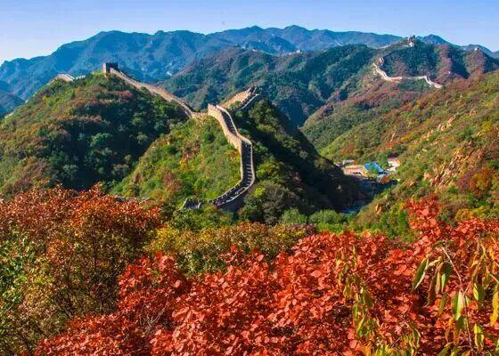 绝美！今秋，就去北京这些登山步道赏红叶！