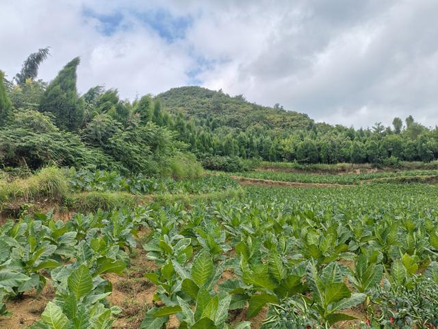修文县久长街道双堡村：众多文化遗产遗迹等你来