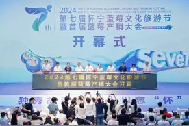 第七届怀宁蓝莓文化旅游节暨首届蓝莓产销大会举办图片