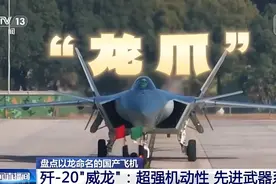 “龙字头”国产飞机大盘点，超燃！图片
