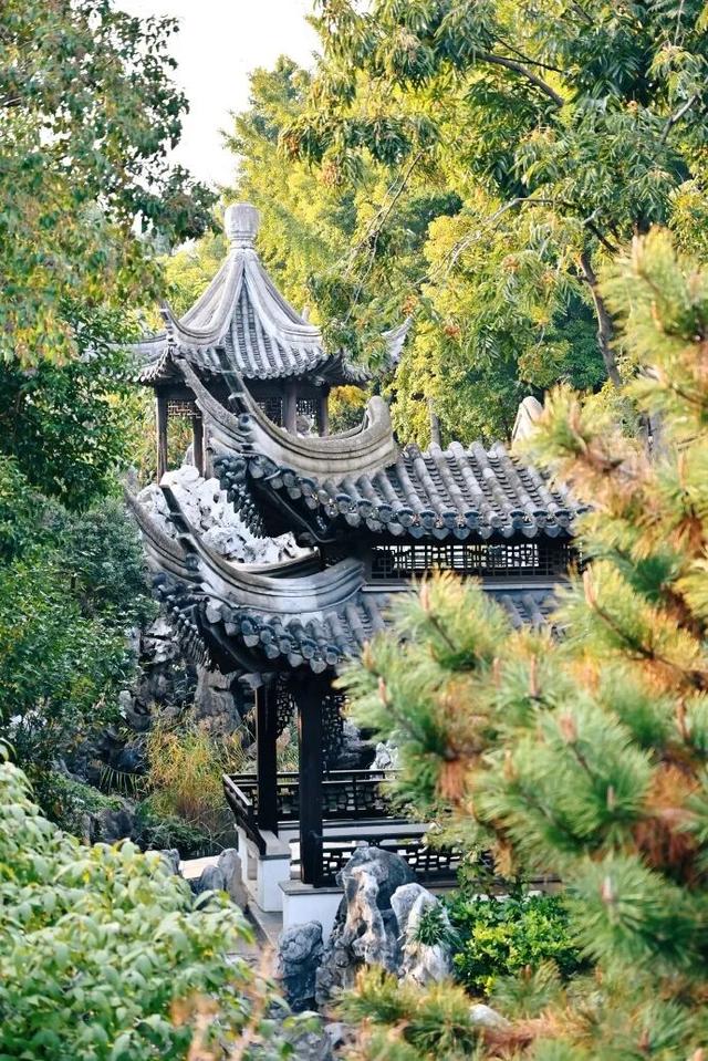 这个元旦假期，把时光“浪费”在秦淮最美的园子里~