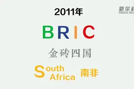 快闪数说｜金砖的成色有多足？图片