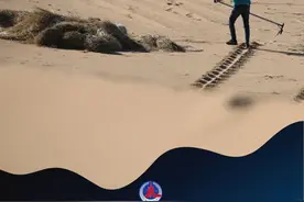 一带一路故事绘 | 沙漠里的绿色故事 值得世界聆听图片