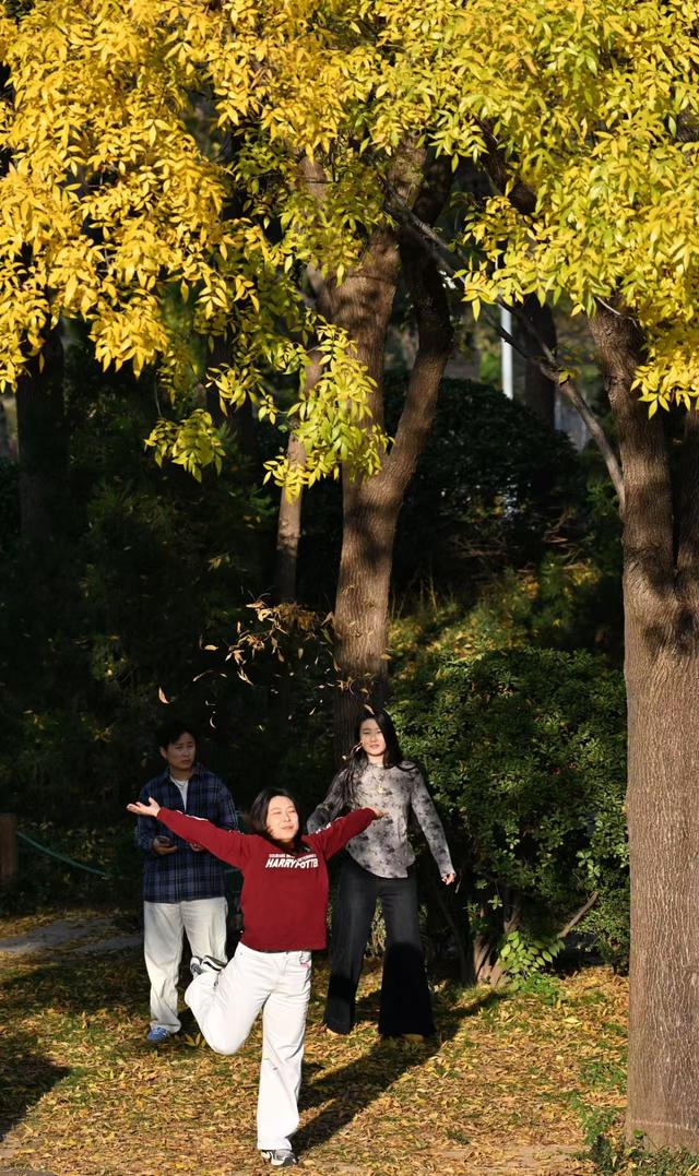 泉城公园绘秋日盛景，市民游客打卡忙