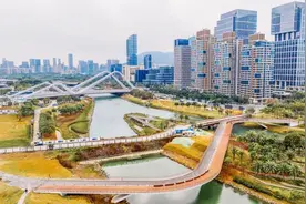 春节打卡地+1！前海这座“龙”型桥可畅行海岸线图片