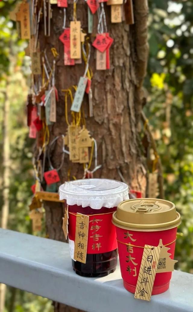 青秀山一日漫游｜山水清音，邂逅这抹南宁的青秀绿