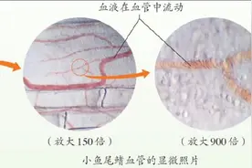 这还是数学书吗？新学期，来看看新教材新在哪儿？图片