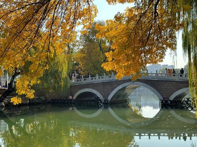 不必扎堆地坛公园！东城区赏秋攻略，一图收藏