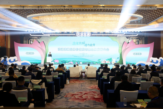 来洪湖，“藕”遇千年秋色！