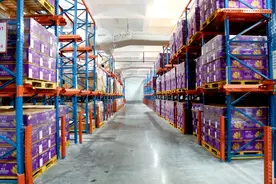 同样是榴莲，为何价格参差不齐？一文读懂榴莲价格波动原因图片