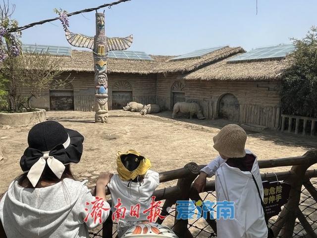 一年四季 泉在济南丨野趣盎然动物园