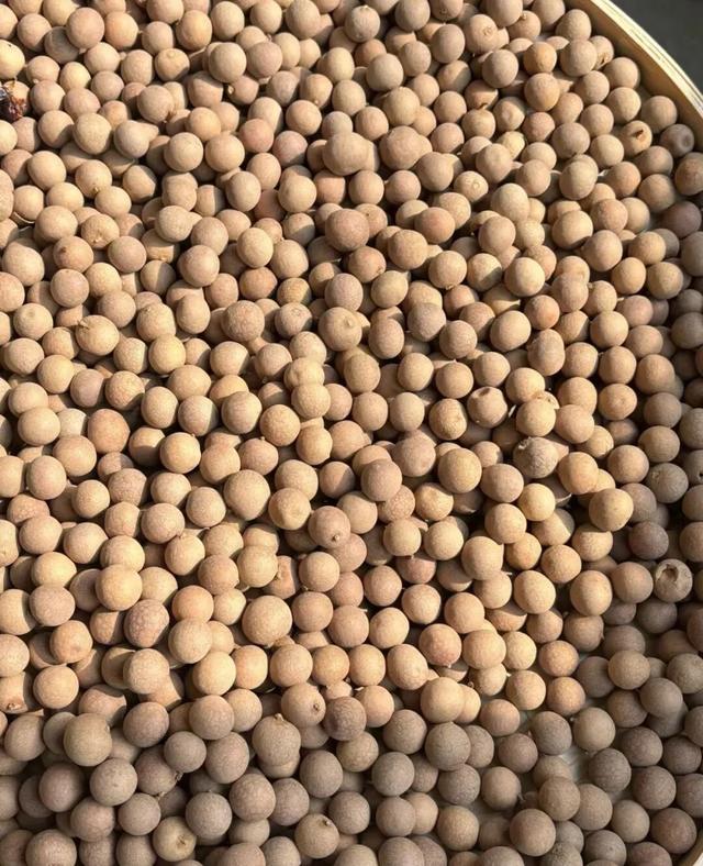 肥城寒假指南｜走！赶大集去~附大集时间表，收好！