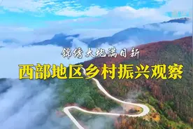 锦绣大地满目新——西部地区乡村振兴观察图片