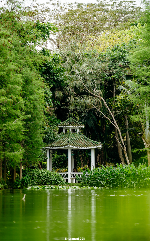 台风来袭！这些地方都已关闭，大家请勿跑空