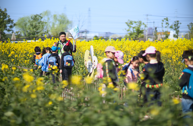 就在闵行，这个遛娃好去处快藏不住啦！攀爬、滑梯、沙坑、种菜……