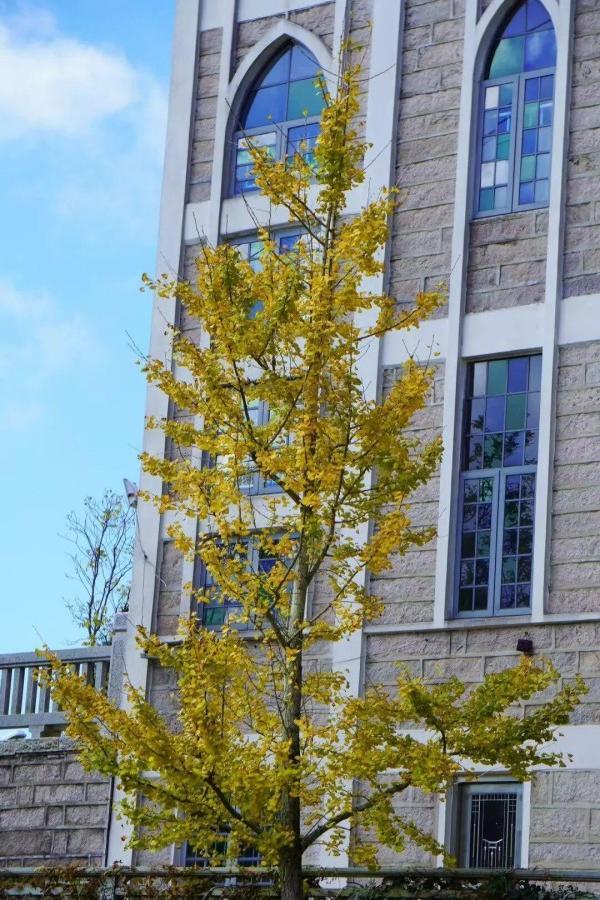 醉美秋色！福州鼓岭迎来“颜值巅峰”期！