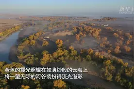 日出伴云海 新疆额尔齐斯河谷云雾缭绕恍若仙境图片