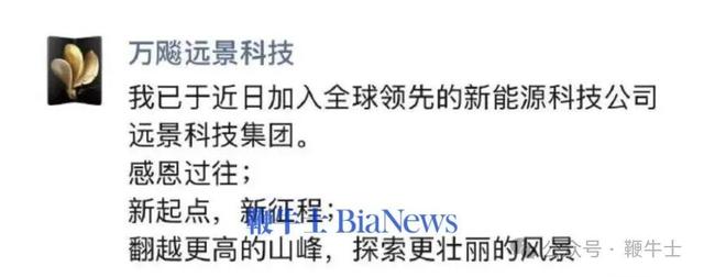 今日头条回应被约谈；罗永浩发布预制菜测试计划；雷军预热年度演讲 | 晚集