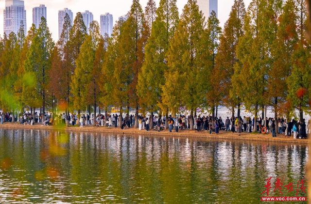 跟着“湘超”去旅行！这条周末游线路，解锁长沙冬日浪漫