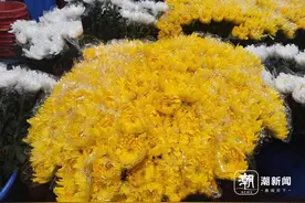 清明花篮除了​菊花还有它 杭州应季鲜花还有这几种图片