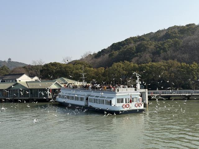 太湖治理传来好消息，且看无锡如何打出“组合拳”