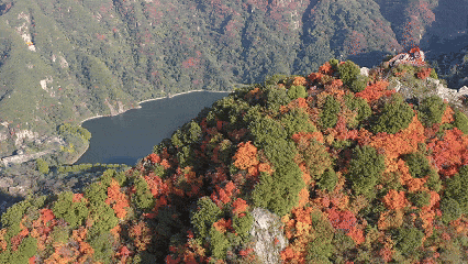 “大美故乡”第11站丨陕西西安