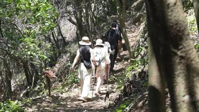 世界最大、亚洲唯一！今晨，他们在30000多棵楠木、8600亩森林，1500年的时光里奔跑......