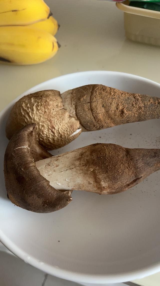 写点生活｜昆明避暑之菌菇篇