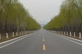 肥城：“交通+”一路情怀向未来图片
