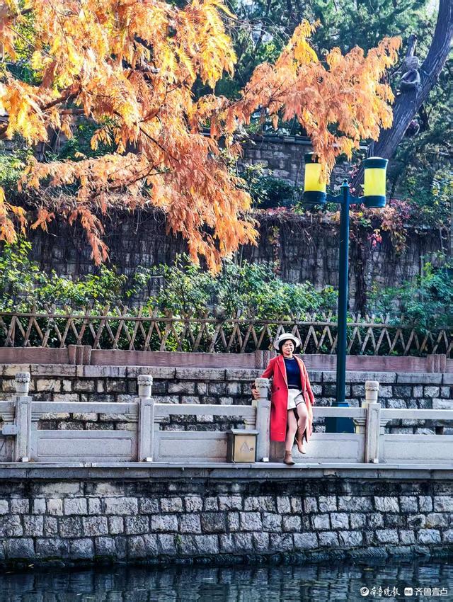 济南青龙桥护城河畔，美景随手拈来