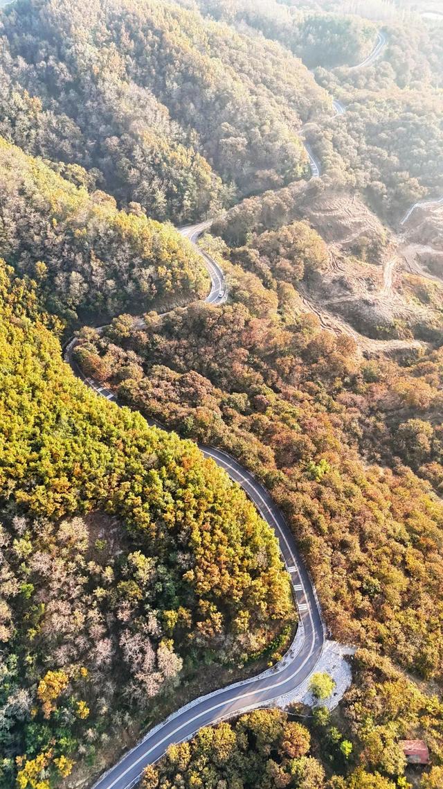 五莲又出圈啦！2025山东“超出彩”宝藏小城！