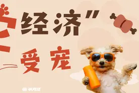 现在开始流行“带娃式”养宠了？图片