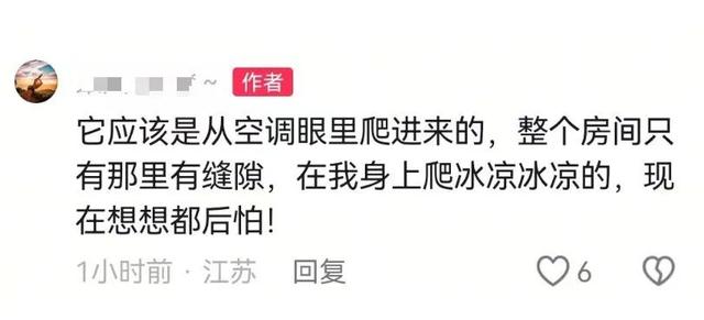 江苏常州一装修工人梦中突感凉意，感觉有动物爬过，打死后发现竟是一条蛇
