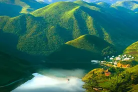 湖南城步千年峒茶出深山图片