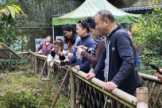 游客量全国第22！元旦假期，星湖景区，超火！