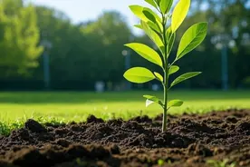 飞灰填埋减量率达95%！国际首创飞灰处理技术进入规模化推广阶段图片