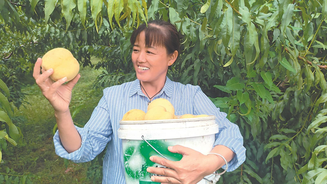 文化中国行·江淮薪火照新程 | 和美辉山 一抹红色引领振兴