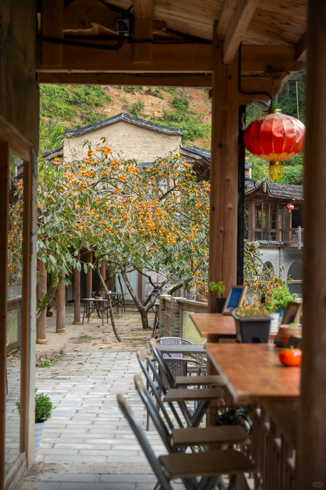 追柿归来！屏南3个古村落亲测好拍好玩好美！建议两天一夜游