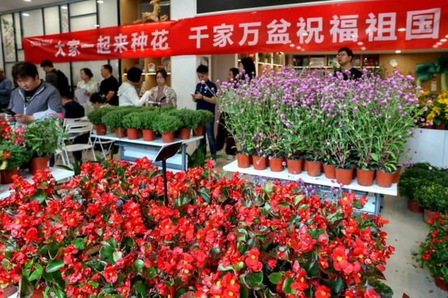 大美北京|850盆市民培育的鲜花将亮相长安街