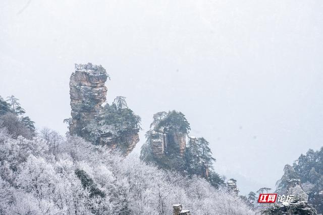 张家界的雪后云海，藏着湖南冬日的浪漫