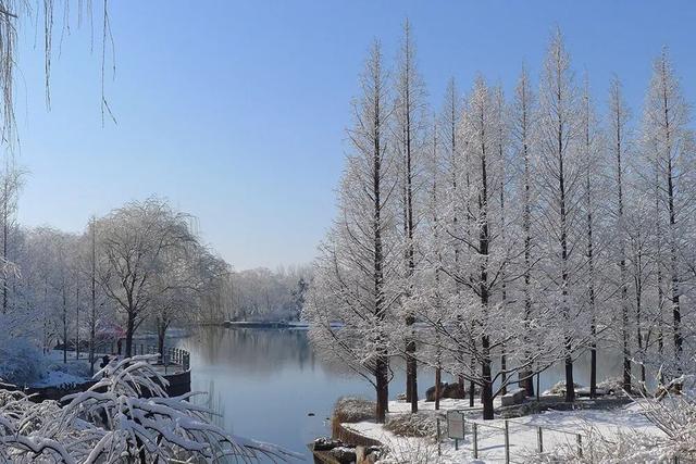 北京全城等雪来！故宫约不上？这些地方随手一拍也是大片——
