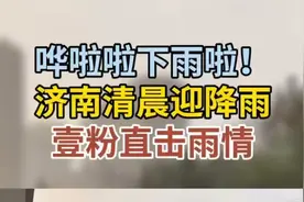 果然视频| 打雷又下雨！济南清晨突迎降雨，情报员直击雨情图片