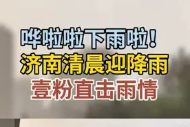果然视频| 打雷又下雨！济南清晨突迎降雨，情报员直击雨情图片
