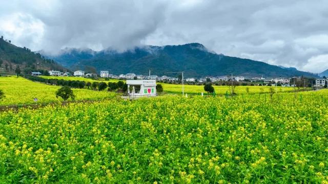 【全国生态日】绥阳：践行“两山论” 绘就生态旅游发展新画卷